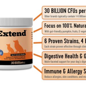 Extend - Joint Care and Probiotic for Dogs. Combo Special!