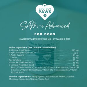 Project Paws Same for Dogs - Liver Support for Dogs with Vitamin B - Cognitive Dog Supplement - S Adenosyl Methionine for Dogs - 60 ct.