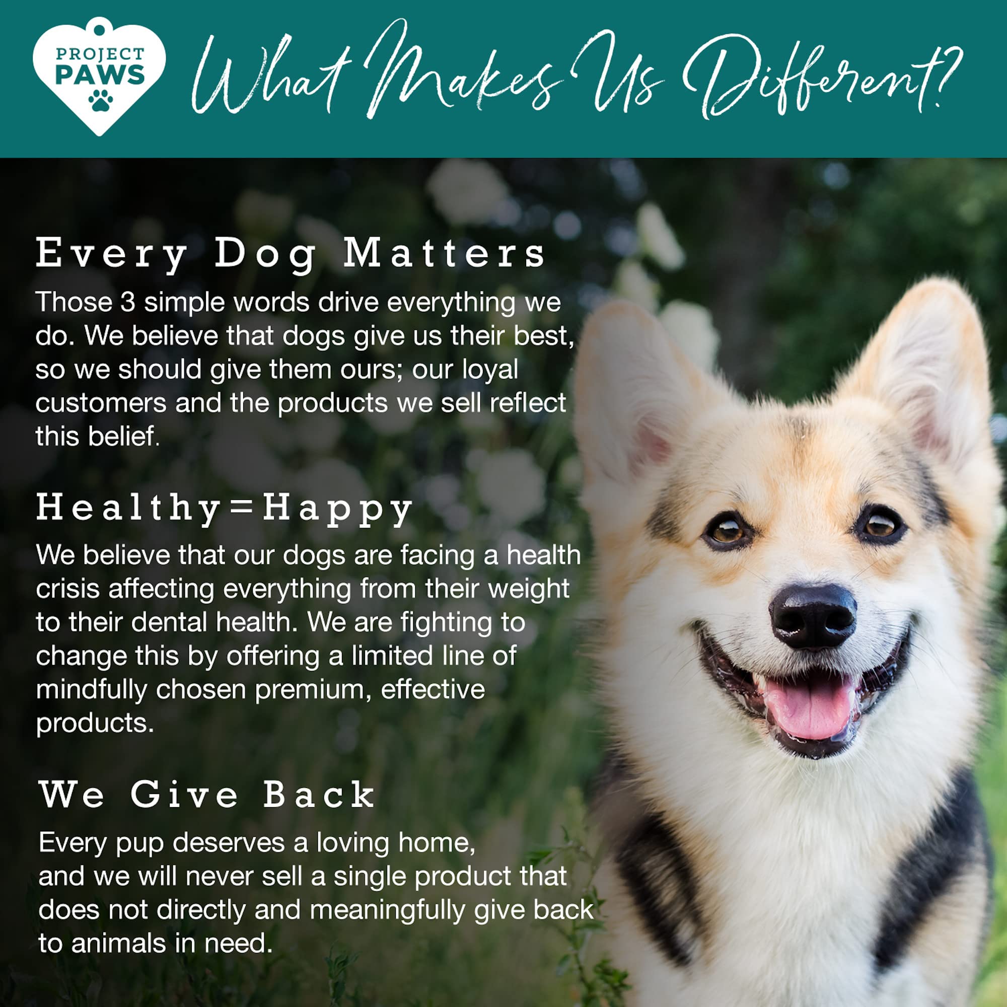 Project Paws Same for Dogs - Liver Support for Dogs with Vitamin B - Cognitive Dog Supplement - S Adenosyl Methionine for Dogs - 60 ct.