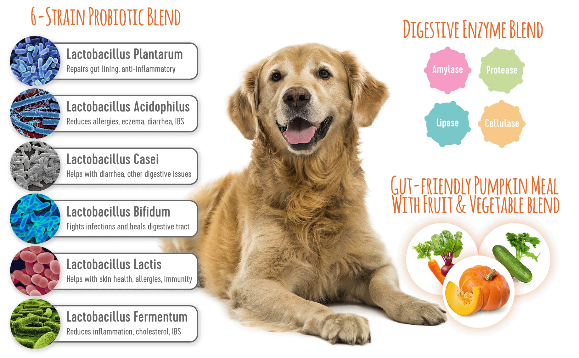 Extend - Joint Care and Probiotic for Dogs. Combo Special!