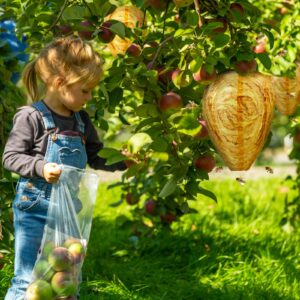 GWHOLE 2 Pack Fake Nest Hanging Fake Yellow Jackets Nest for Garden Outdoor