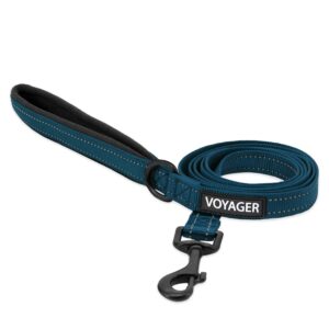 voyager reflective dog leash with neoprene handle, 5ft long, supports small, medium, and large breed puppies, cute and heavy duty for walking, running, and training - blue (leash), s