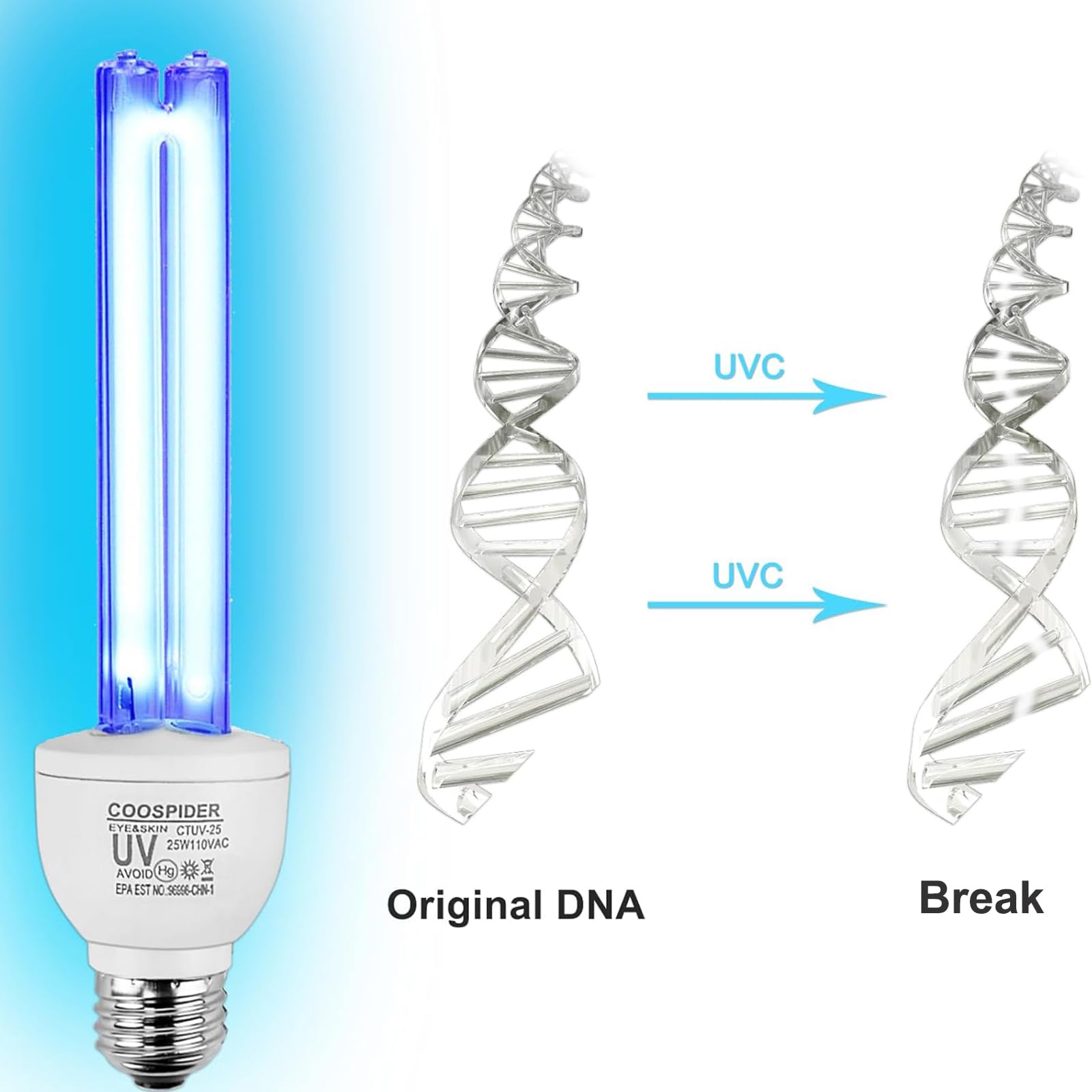 25 Watts UVC Lamp Ozone Free UVC Light Bulb with Base and 3-Gear Timer 253.7nm Wavelength UV Light for Bedroom/Closet/Kitchen/Bathroom E26 110V CTUV-25