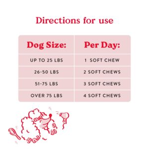 Bocce's Bakery Skin & Coat Supplement for Dogs, Daily Chews Made in The USA with Vitamin E & Essential Fatty Acids, Supports Healthy Skin & Coat, Salmon, 60 ct, Red (DG-SP-SKIN60)