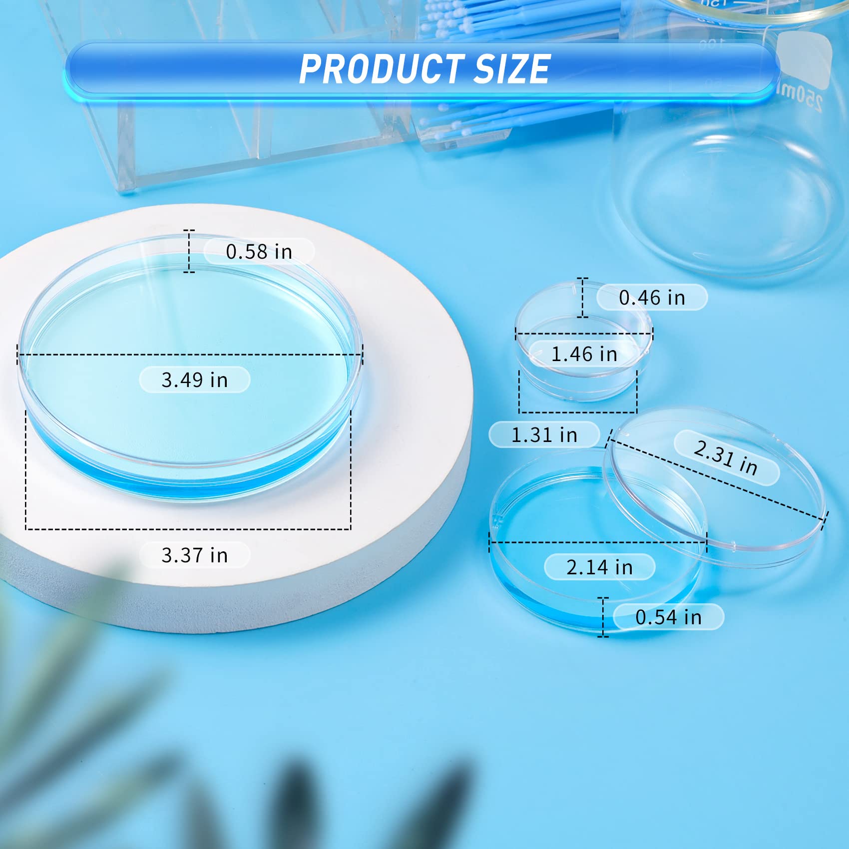 10 Pack Plastic Petri Dishes with Lid 35mm Dia x 10mm Deep, Annhua Petri Plates Culture Dishes Tissue Culture Plate with Cover, Used for Laboratory Analysis and Microbiology Studies