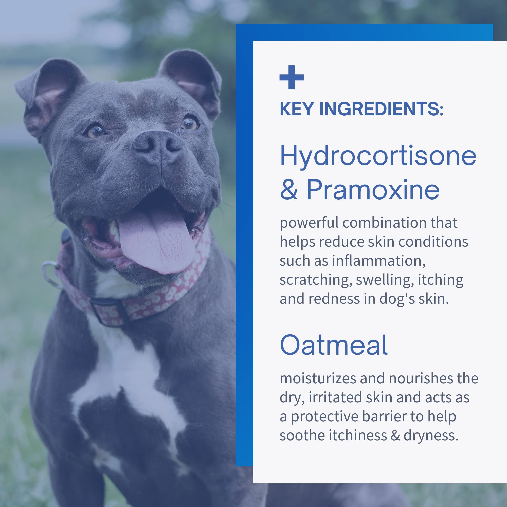 SensoVet Hydrocortisone & Pramoxine Medicated Spray for Dogs & Cats - Itch Relief, Insect Bites, Hot Spots (4oz)