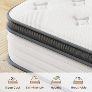 TeQsli Queen Mattress, 10 Inch Memory Foam Innerspring Hybrid Mattress in a Box