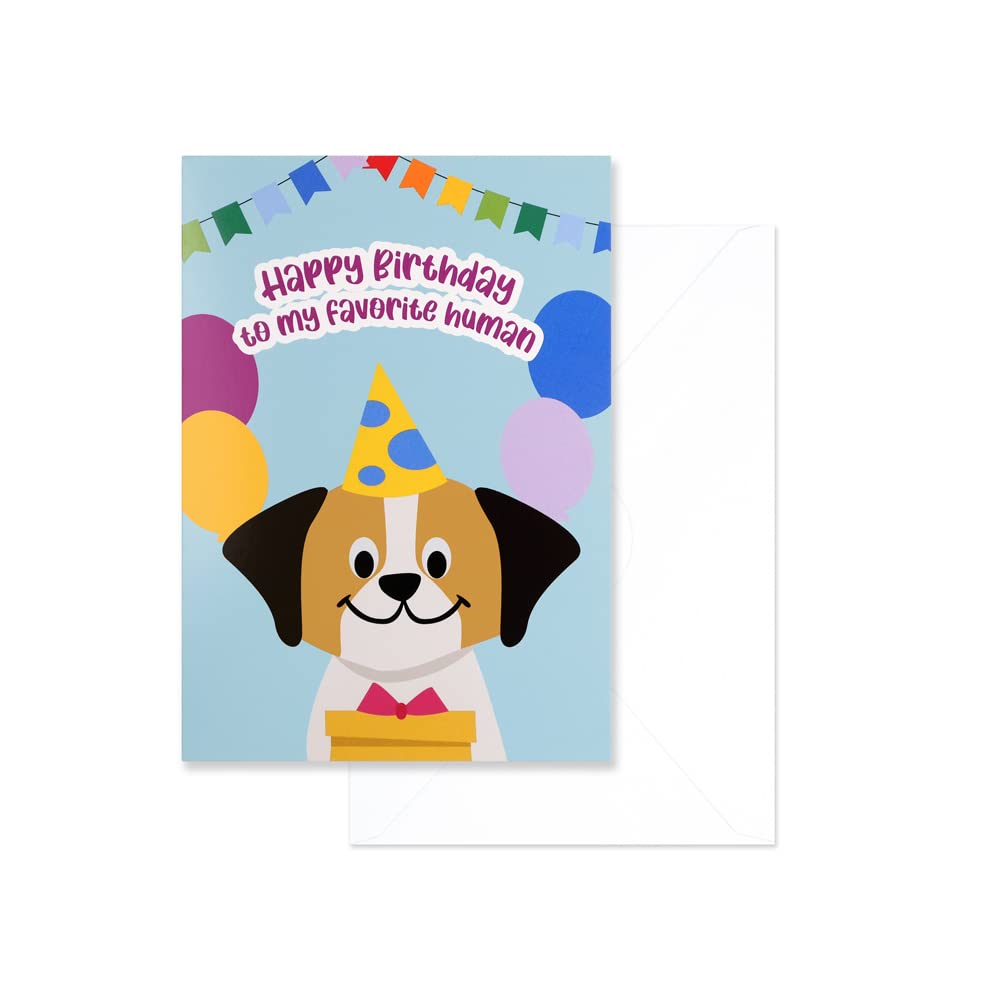 12 Large Kids Happy Birthday Cards 5 x 7 Inch – 12 Premium Children Birthday Cards For Him & Her with Illustrated Dogs, Cats, Space Rockets, Planets, and Cute Furry Characters Printed on Thick 350 GSM