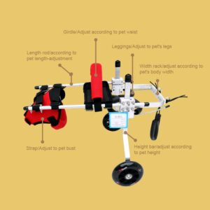 Cat Wheelchair, Lightweight 2 Wheels Pet Wheelchair, Adjustable Cat Barrier Wheels for Rehabilitation Aid for The Back Legs of Aging, Disabled, Injured, Arthritis, Weak cats/pets (S)