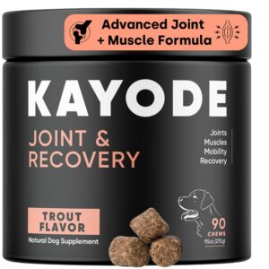 joint & recovery | 2-in-1 joint & muscle chews. joint support supplement for dogs. helps with arthritis or prevention from hip & joint pain. for all life stages. tasty trout flavor.