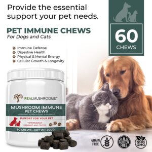 Real Mushrooms Immune Pet Chews (60ct) & Relax Pet Chews (60ct) - Bundle for Immunity, Relaxation & Longevity - Reishi, Lion’s Mane, Ashwagandha, Astragalus & More - Vegan, Non-GMO, Gluten-Free