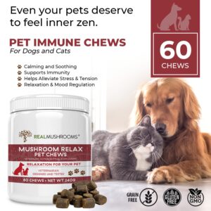 Real Mushrooms Immune Pet Chews (60ct) & Relax Pet Chews (60ct) - Bundle for Immunity, Relaxation & Longevity - Reishi, Lion’s Mane, Ashwagandha, Astragalus & More - Vegan, Non-GMO, Gluten-Free