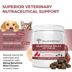 Real Mushrooms Immune Pet Chews (60ct) & Relax Pet Chews (60ct) - Bundle for Immunity, Relaxation & Longevity - Reishi, Lion’s Mane, Ashwagandha, Astragalus & More - Vegan, Non-GMO, Gluten-Free