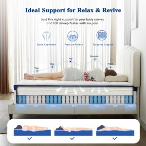 Zeelovtress California King Mattress 14 Inch, Gel Memory Foam Hybrid Mattress with Lyocell Fabric and Individual Pocketed Coils, Medium Firmness for Support, Low Motion Transfer, and Pressure Relief