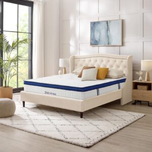 Zeelovtress 14 Inch Hybrid Queen Mattress, with Gel Memory Foam, Lyocell Fabric, and Individual Pocket Coils, Medium Firmness for Pain Pressure Relief, CertiPUR-US, 120 Nights Trial