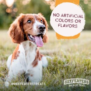 Beefeaters Dog Treats - 4in Bully Sticks 2oz | All-Natural, Highly Digestible | Dog Food Promotes Dental Health | No Additives or Preservatives | Training Treats for All Dog Sizes