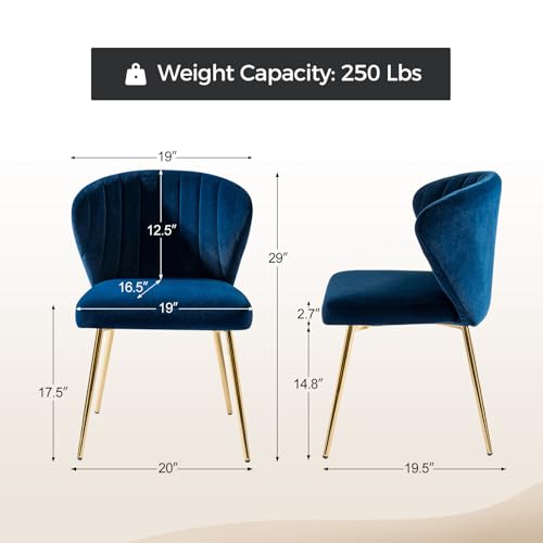 HULALA HOME Velvet Dining Chairs, Modern Small Armless Accent Chair with Gold Metal Legs, Living Room Upholstered Cute Side Chair, Elegant Tufted Back Vanity Chair for Bedroom/Beauty Room-Navy