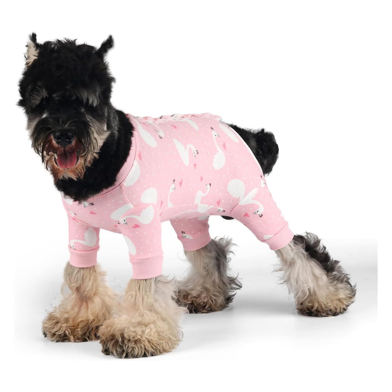 Pawcomon Dog Onesie for After Surgery Recovery Suit Pet Surgical Suit for Female Male Cone E-Collar Alternatives After Spay Abdominal Wounds Protector Dog Anti-Licking Onesie for Small Medium Dogs