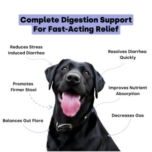 Kayode Ultimate Digestion. Fast Facting Anti Diarrhea for Dogs. Dog Farty Remedy & Dog Gas Relief. Natural Dog Diarrhea Medication Alternative. Pumpkin & Digestive Enzymes for Dogs.