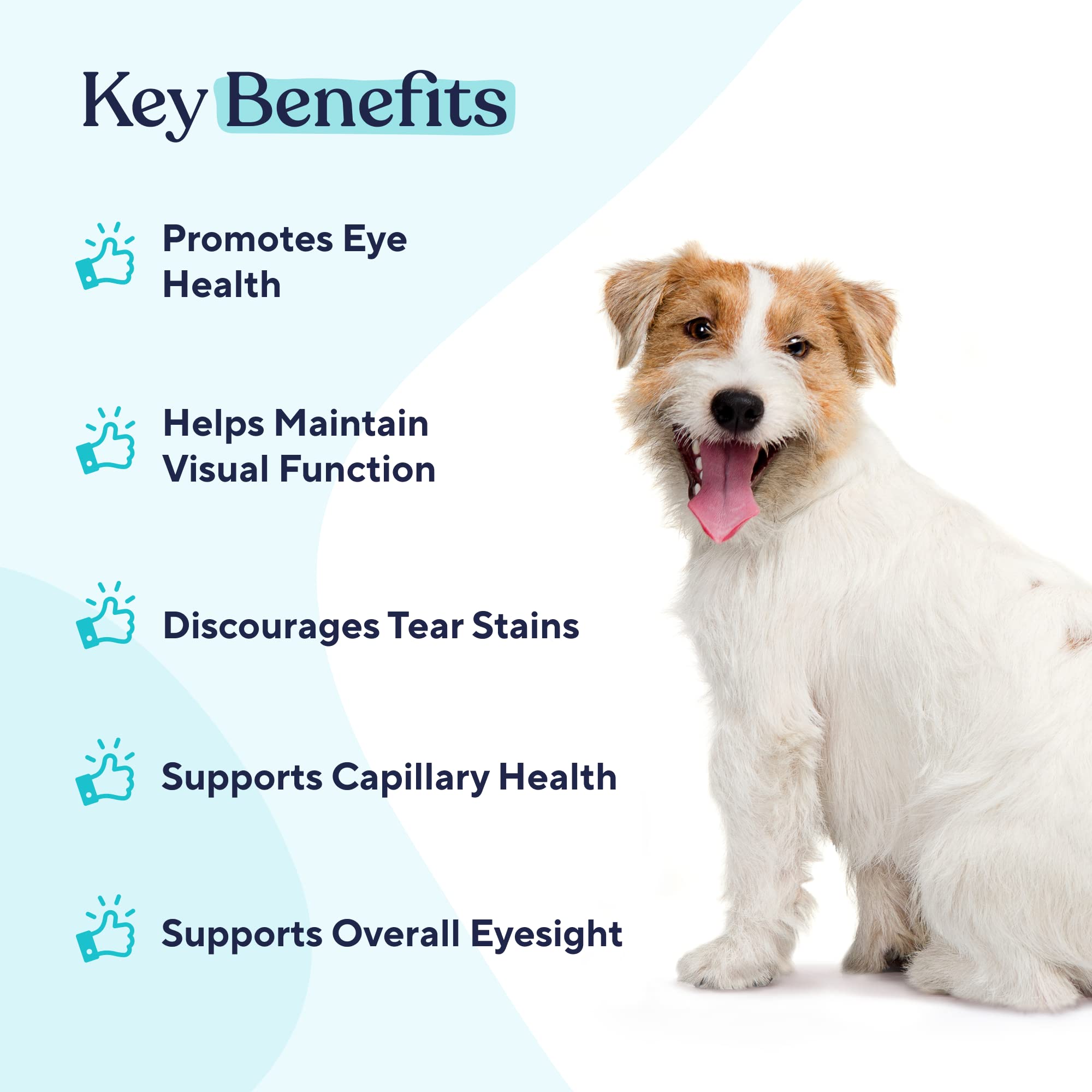 Pawfy Eye Support Soft Chews | Prevent Tear Stains | Support Eyesight | Overall Eye Health | with Luthein, Krill Oil & Astaxanthin