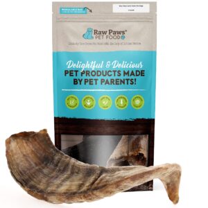 raw paws lamb horns for dogs, large 2-count - packed in usa - natural lamb horn dog chew - lamb horn dog treat - sheep horns for dogs - horn for dogs to chew - ram horn dog chew - sheep horn dog chew