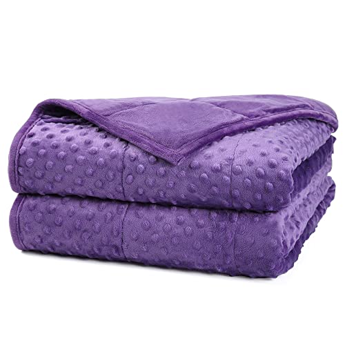 Alomidds Weighted Blanket, Luxury Velvet Weighted Blankets for Kids,Warm and Breathable Soft and Comfort Minky, Cute Heavy Blanket with Premium Glass Beads (41"x60" 7LBS, Purple)