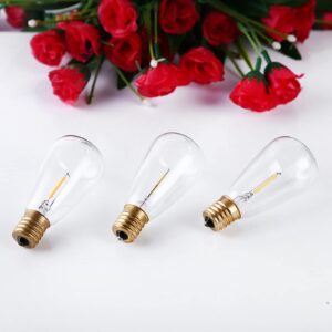 25 Pack LED String Light Bulbs, ST38 Eidison LED Bulbs for String Lights E12 Base Warm White 2700K,0.65 watt Equivalent to 6 Watts Incandescant Bulbs,Glass Material