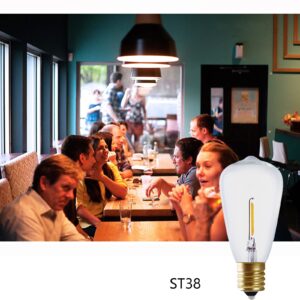 25 Pack LED String Light Bulbs, ST38 Eidison LED Bulbs for String Lights E12 Base Warm White 2700K,0.65 watt Equivalent to 6 Watts Incandescant Bulbs,Glass Material