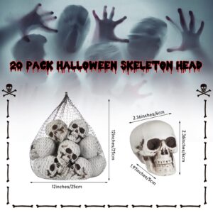 Charniol 20 Pieces Mini Halloween Skulls Heads Plastic Miniature Skulls Skeleton Heads Decorations in Mesh Bag Realistic Skulls Props Crafts for Halloween Party Bar Home Table Decor