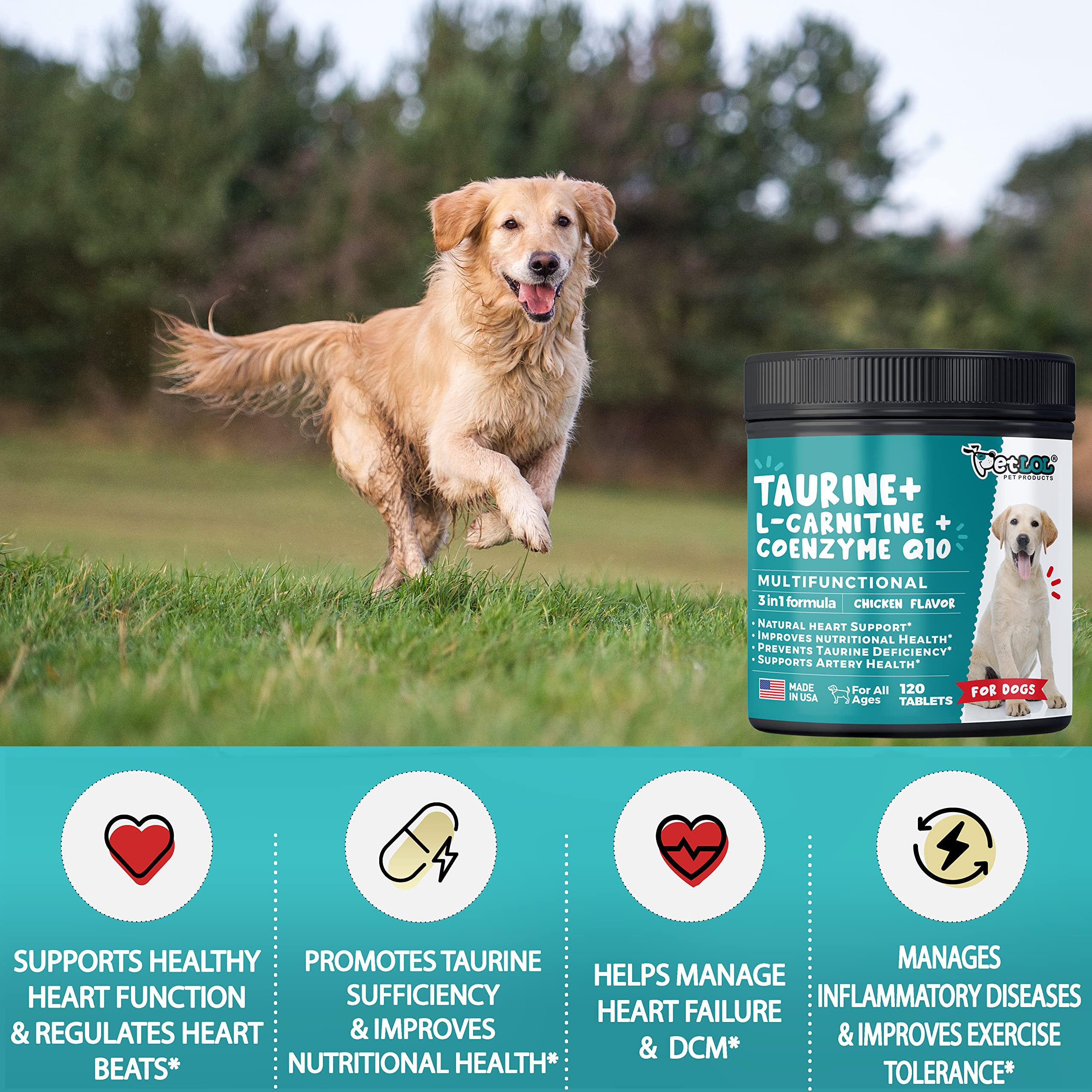 PET LOL Taurine Supplement for Dogs with L-Carnitine and Coenzyme Q10 (CoQ10): Vet Endorsed for Enlarged Heart (DCM), Congestive Heart Failure, Taurine Deficiency: 3-in-1 | Dog Supplements- 120ct