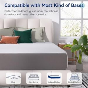 Amazon Basics Memory Foam Mattress, Soft Plush Feel, California King, White/Grey, 84 x 72 x 12 inches (LxWxH)