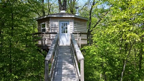 The Flathead © : 10' Octagonal Treehouse Plan