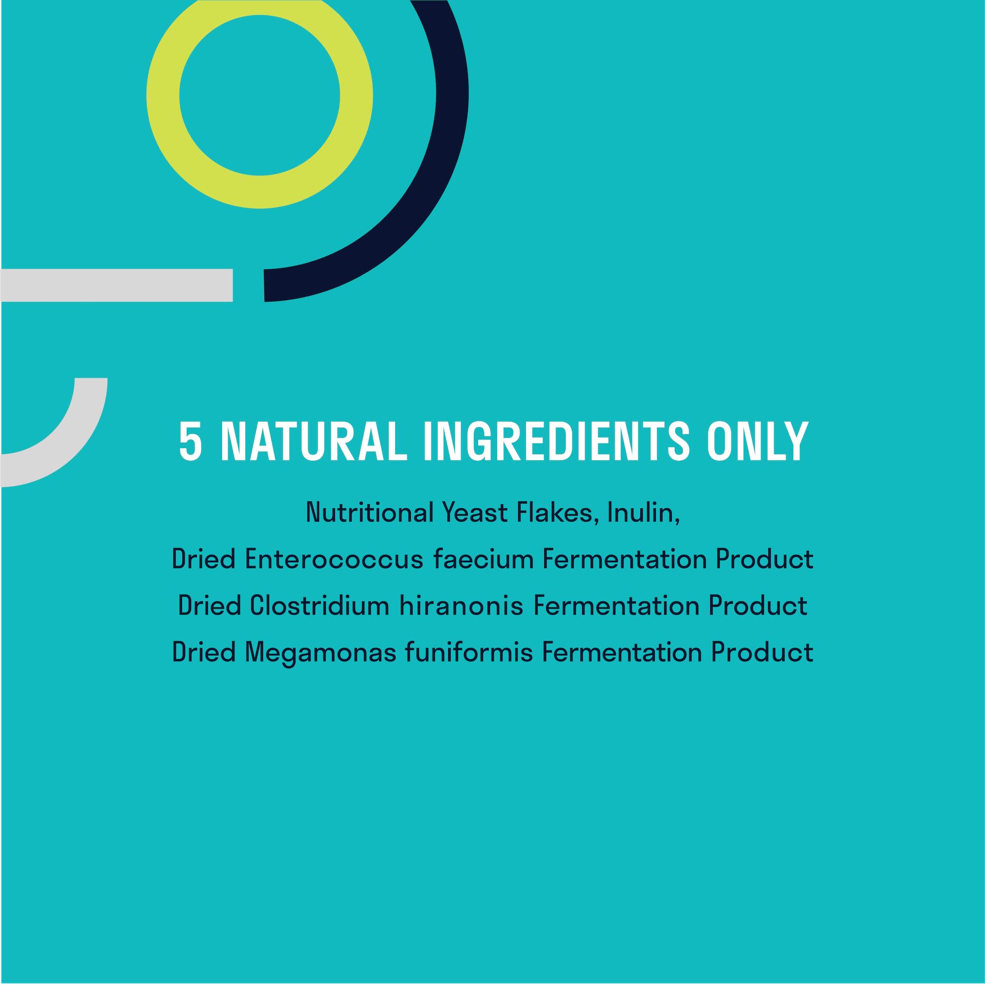 Arkus Daily XL Dog Probiotic, The Only Product Made with Microbes That are Natural to The Gut of Healthy Dogs, Supports Better Digestion, Gut Health, and Immune System, Maintains a Healthy Microbiome