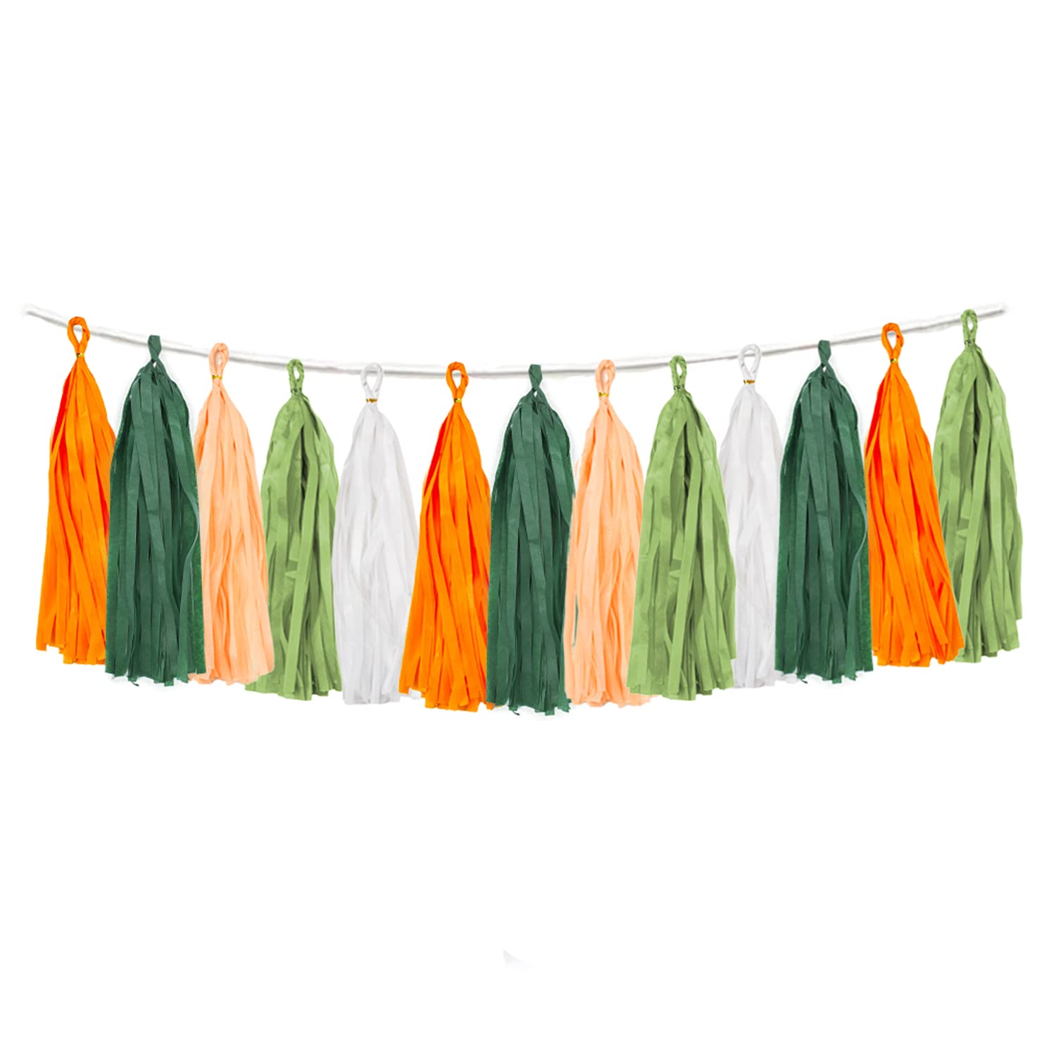 25PCS Little Cutie Baby Shower Decorations Citrus DIY Tissue Tassel Garland Banner Tangerine Clementine Orange Themed Birthday Party Wedding Backdrop Nursery Wall Garden Hanging Décor