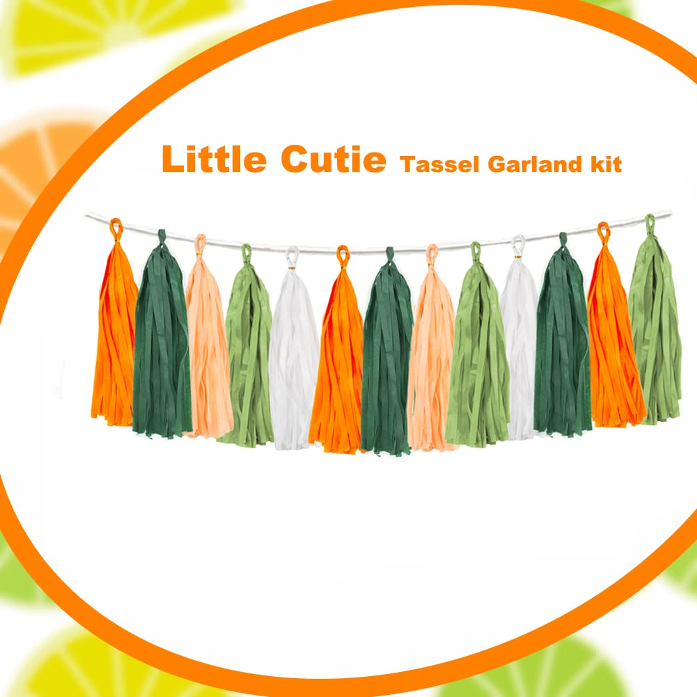 25PCS Little Cutie Baby Shower Decorations Citrus DIY Tissue Tassel Garland Banner Tangerine Clementine Orange Themed Birthday Party Wedding Backdrop Nursery Wall Garden Hanging Décor