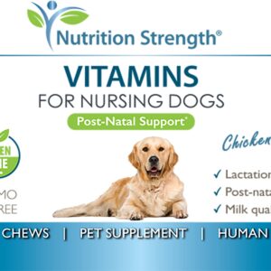 Nutrition Strength Vitamins for Nursing Dogs to Support Lactation and Post-Natal Recovery, Promote Milk Quality and Healthy Puppies with Calcium, Phosphorus, Magnesium and Zinc, 120 Soft Chews