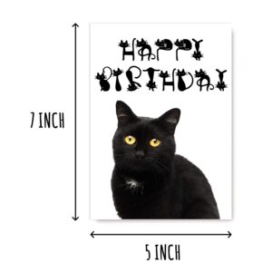 Greeting Card Cat Happy Birthday Card With Cats - Black Cat Birthday Card - Funny Cards - Cat Lovers - Cute Cat Birthday Card - Funny Cat Cards