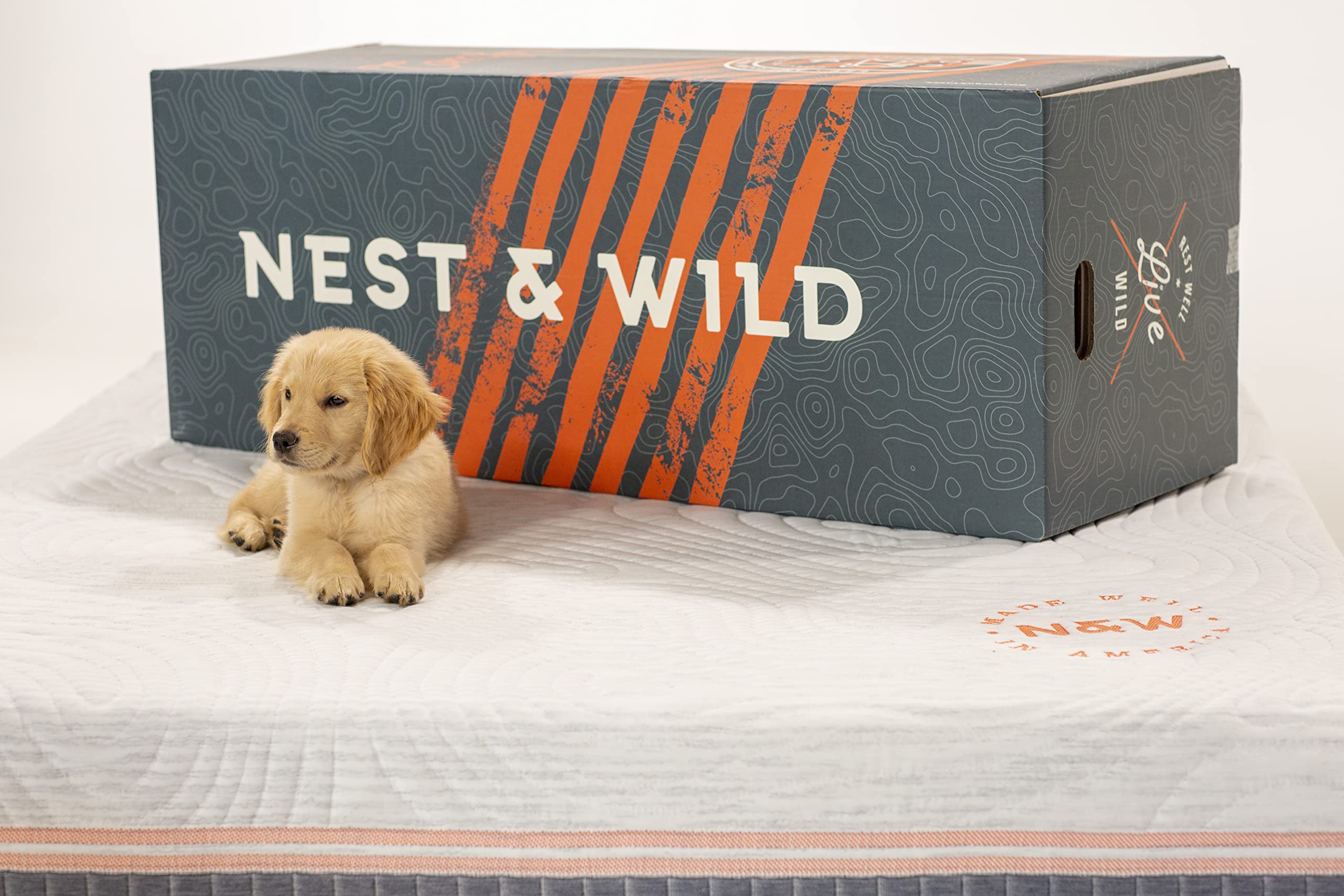 Nest & Wild Mattress Plush 12 Inch | Made in The USA | 100% Fiberglass-Free Cool Touch Cover | Ventilated Memory Foam | Bed in a Box | CertiPUR-US & OEKO-TEX100 Certified Foams (Queen)