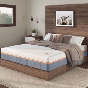 Nest & Wild Mattress Plush 12 Inch | Made in The USA | 100% Fiberglass-Free Cool Touch Cover | Ventilated Memory Foam | Bed in a Box | CertiPUR-US & OEKO-TEX100 Certified Foams (Queen)