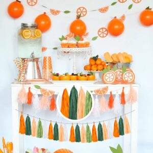 25PCS Little Cutie Baby Shower Decorations Citrus DIY Tissue Tassel Garland Banner Tangerine Clementine Orange Themed Birthday Party Wedding Backdrop Nursery Wall Garden Hanging Décor