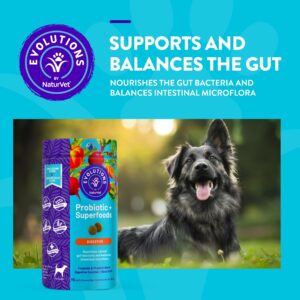 NaturVet Evolutions Probiotic & Superfoods 90ct Soft Chews for Dogs - Prebiotic & Probiotic Blend, Digestive Enzymes, Bone Broth, Omega's - Nourishes Natural Gut Bacteria and Intestinal Microflora