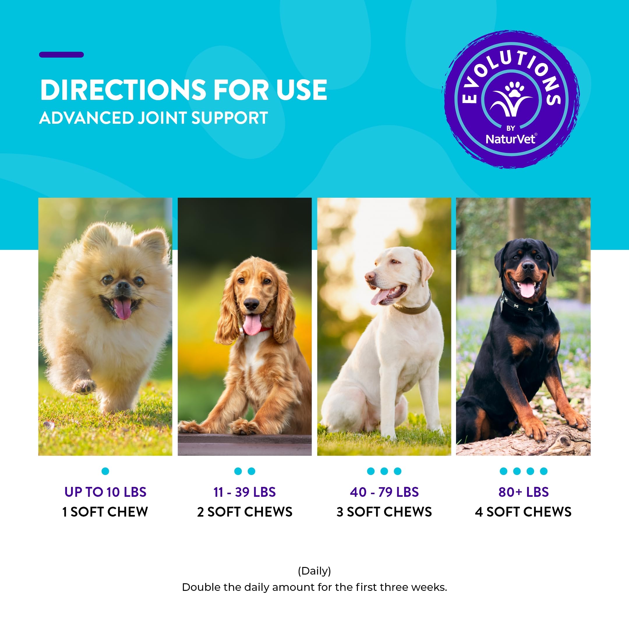 Evolutions by NaturVet Advanced Joint Support 90ct Soft Chews for Dogs - Anchovy Oil, Bone Broth, Collagen, Glucosamine, Turmeric, MSM - Helps Support Synovial Fluid, Cartilage, Connective Tissues