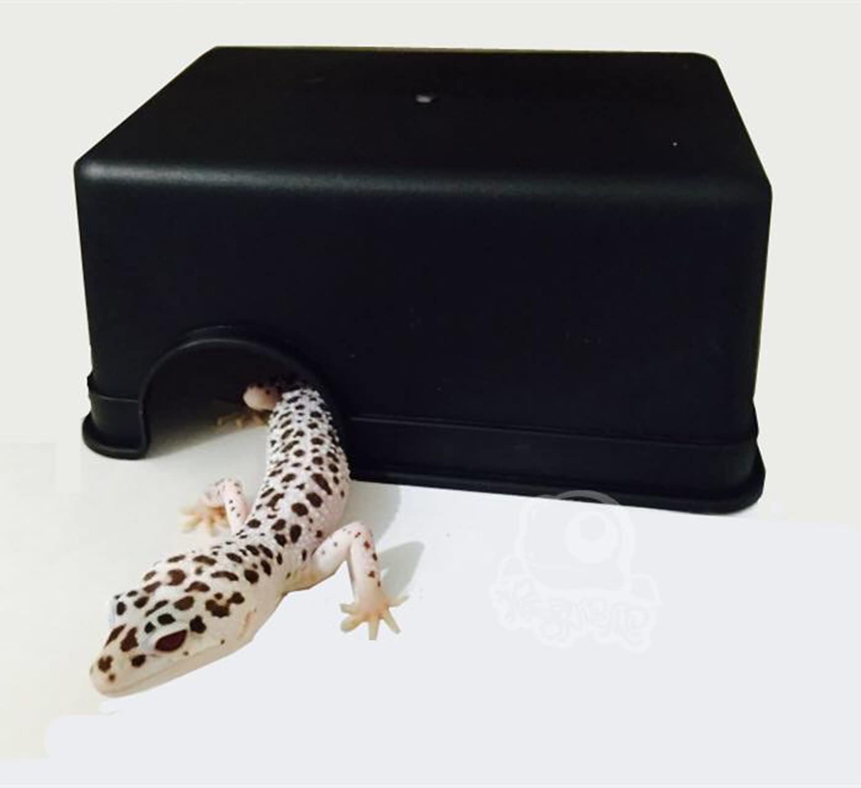 Lucky Interests 3 pcs Reptile Hide Box, Reptile Cave with Water Supply, Reptile and Amphibians Hide Hideout Houses for Lizard Turtle Gecko Chameleon Spider Scorpion with 3 Reptile Food Bowl (S, M, XL)