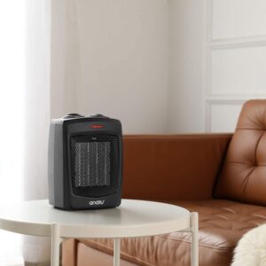 andily Space Heater Electric Heater for Home and Office Ceramic Small Heater with Thermostat, 750W/1500W (Matte black)