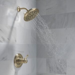 Delta -faucet 52487-CZ-PR Universal Showering Components Showerhead, Lumicoat Champagne Bronze