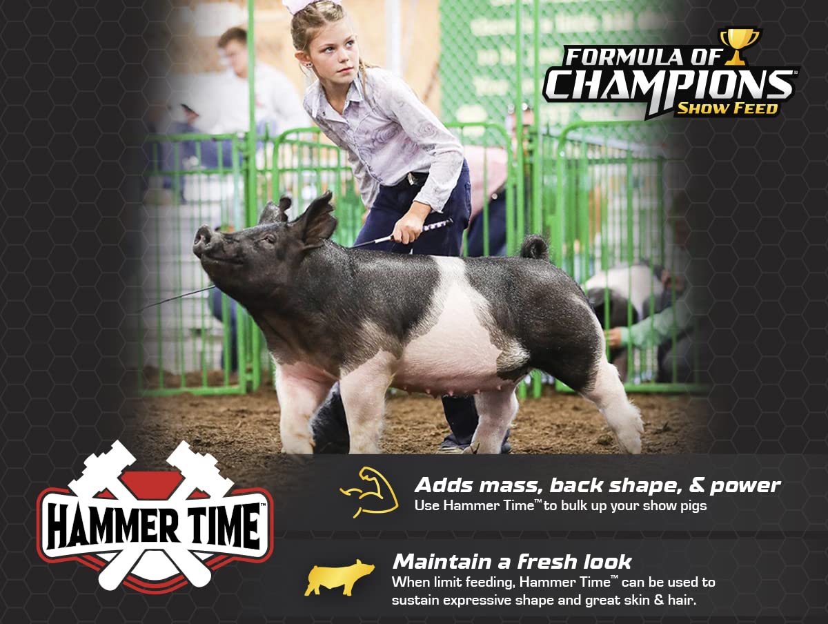 Hammer Time Nutritional Supplement for Show Pigs, 25 lb Bucket