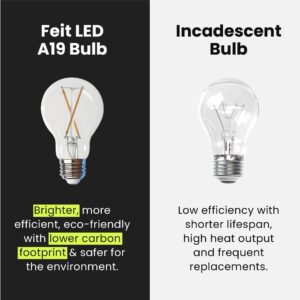 Feit Electric LED Clear A19 Medium Base Light Bulb - 40W Equivalent - 15 Year Life - 450 Lumen - 5000K Daylight - Dimmable | 4-Pack