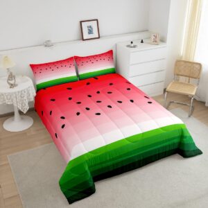 Feelyou Watermelon Comforter Set with Pillow Case Tropical Fruit Print Bedding Set Girls Women Twin Size Comforter Red Watermelon Soft Comforter Set Machine Washable Boys