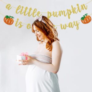 A little Pumpkin Is On The Way Banner, Little Pumpkin Baby Shower Banner, Pumpkin Theme, Gender Reveal, Fall Themed Party Decorations