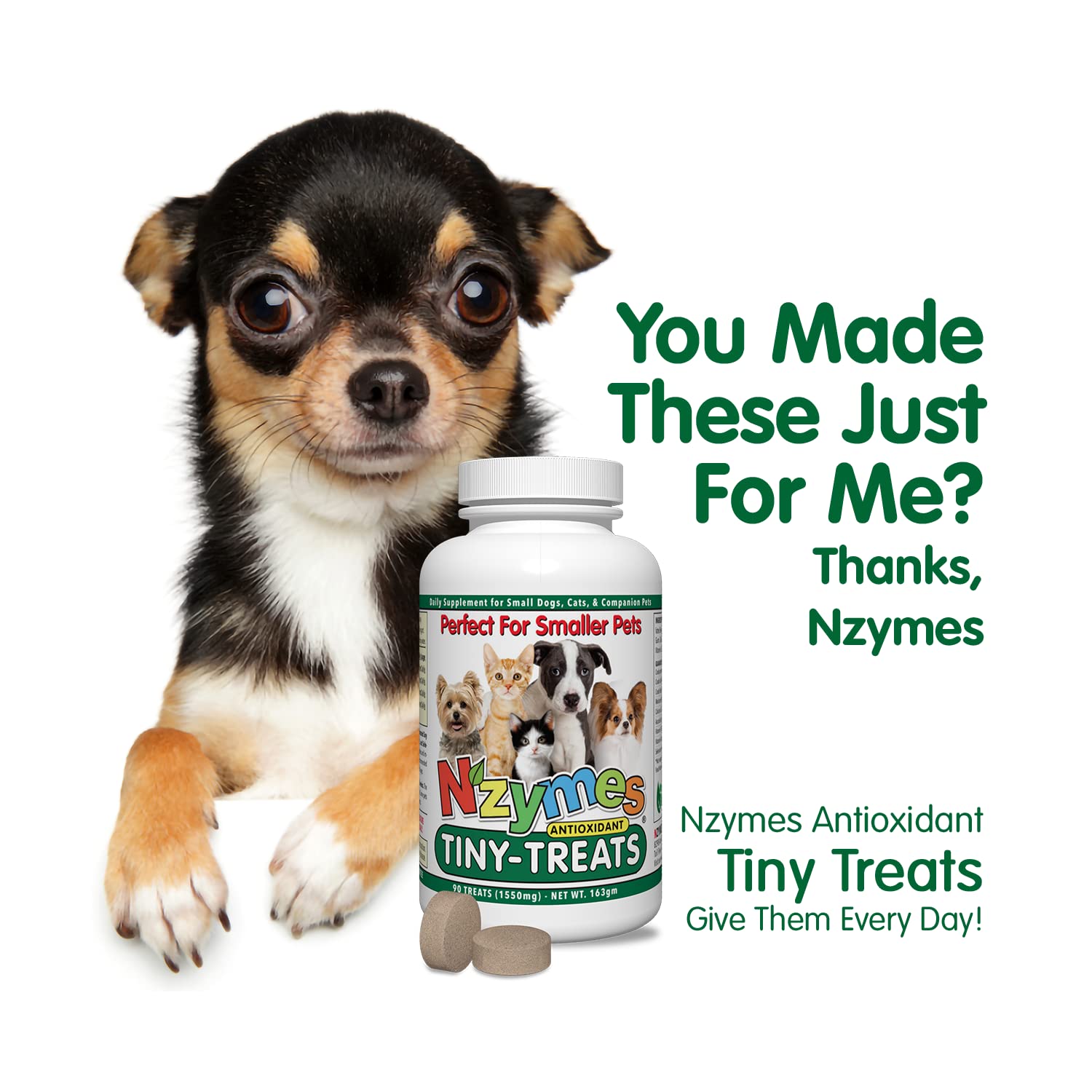 Nzymes® Antioxidant Tiny Treats - for Dogs Joints, HIPS, Paralysis, Skin, Coat, Hair Loss, Aging, Digestion, Seizures - Dog Treats for Small Dogs - 90 Treats - Made in The USA